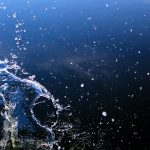 Starte Deinen Tag, stehe auf und starte durch.